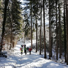 05_ Seniorenbund Sonnenweg.jpeg