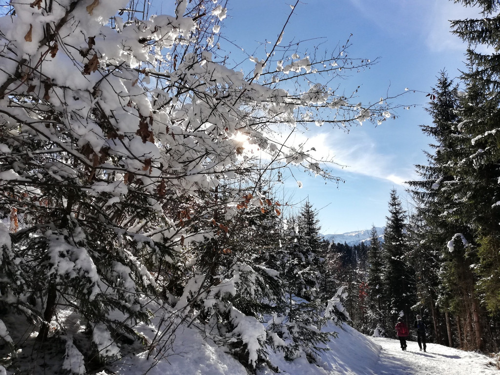 06_ Seniorenbund Sonnenweg.jpeg