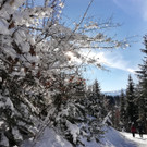 06_ Seniorenbund Sonnenweg.jpeg