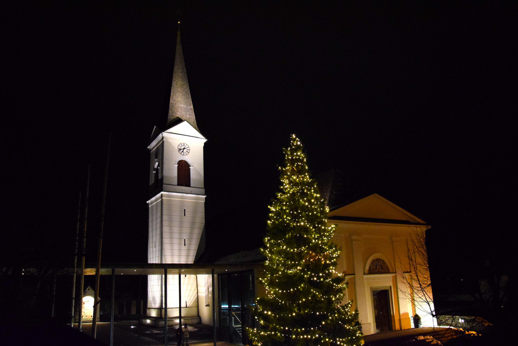 c_Scopoli_20211227_0657.JPG