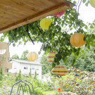 Eindru__cke aus dem letzten Jahr _1_.jpg