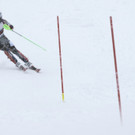 Austria_Alpine_Skiing_World_Cup_42016.jpg