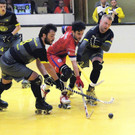 Rollhockey-Verband hat über Fortsetzung entschieden 