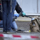 Germany_Shooting_45557 _1_.jpg
