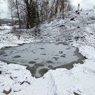 IMG_20220121_145341.jpg