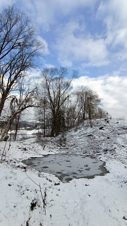 IMG_20220121_145453a.jpg