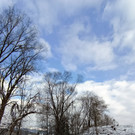 IMG_20220121_145453a.jpg