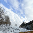 IMG_20220121_145708a.jpg