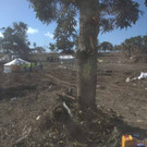 2022-01-24T022054Z_1802055995_RC243S9LFISJ_RTRMADP_3_TONGA-VOLCANO-RED-CROSS.jpg