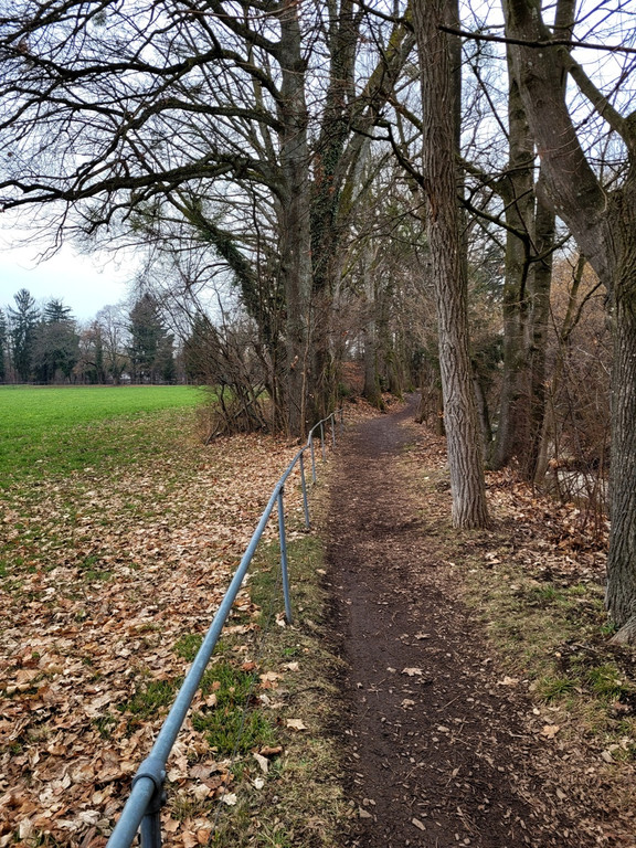 z Salvatorweg Verlauf SYMBOLFOTO 17-01-2022 _5_.jpg