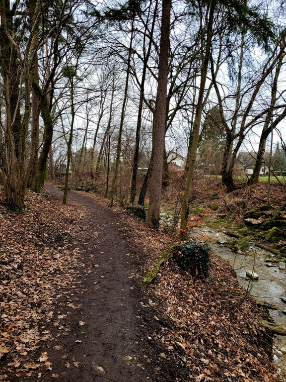 z Salvatorweg Verlauf SYMBOLFOTO 17-01-2022 _6_.jpg