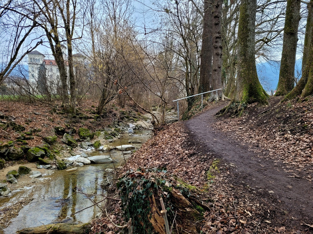 z Salvatorweg Verlauf SYMBOLFOTO 17-01-2022 _7_.jpg