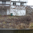 IMG_6155.jpg