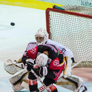 file7jkfc9ikor61i8kjo79u.jpg
