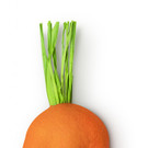 kim_the_carrot_bubble_bar_2022.jpg