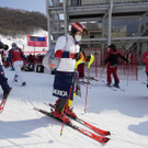 Beijing_Olympics_Alpine_Skiing_47659.jpg