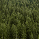 Die wirtschaft Dornbirn lädt zum „kurzfristig“-Konzert