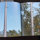 Wasserhaehne01.jpg