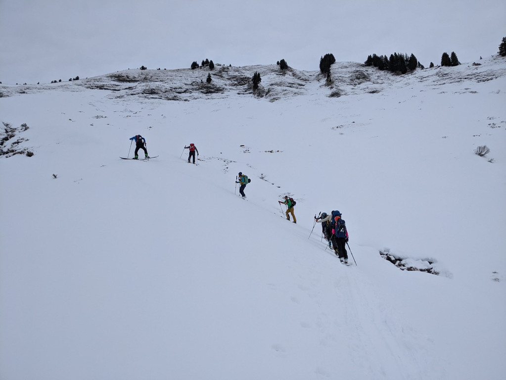 2022_01_29_NF T__lispitze4.jpg