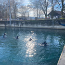 Hydrofoil-Suche7.jpg