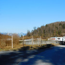 DSCI7118.JPG