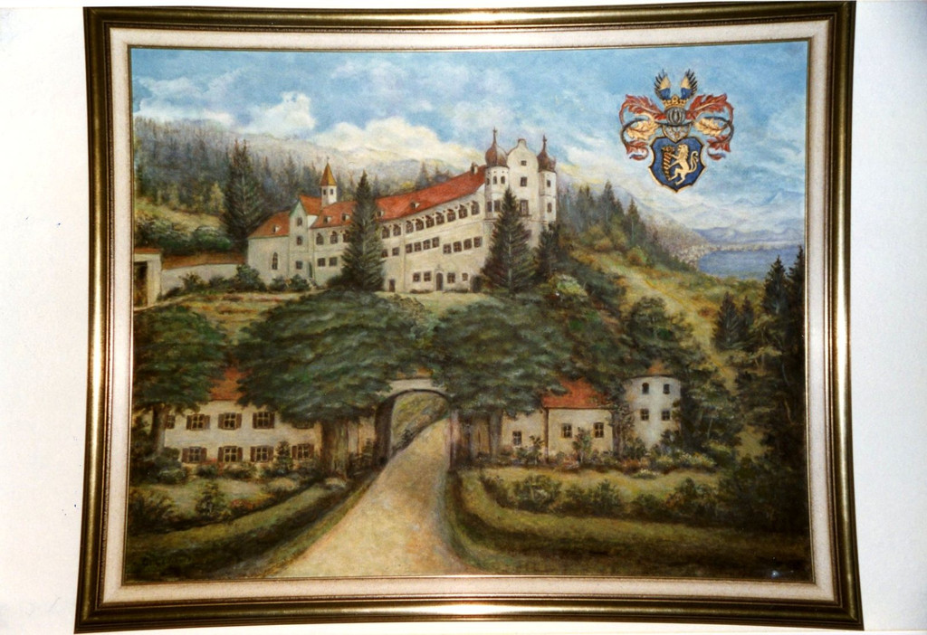 Geschichte SCHWEDENKRIEG 1647 Schloss Hofen Ansichten SYMBOLFOT SAMMLUNG Februar 2022 _1_.jpg