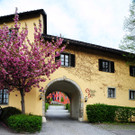 Geschichte SCHWEDENKRIEG 1647 Schloss Hofen Ansichten SYMBOLFOT SAMMLUNG Februar 2022 _4_.jpg