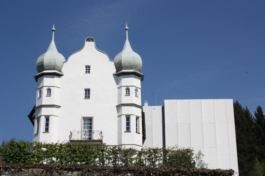 Geschichte SCHWEDENKRIEG 1647 Schloss Hofen Ansichten SYMBOLFOT SAMMLUNG Februar 2022 _6_.JPG