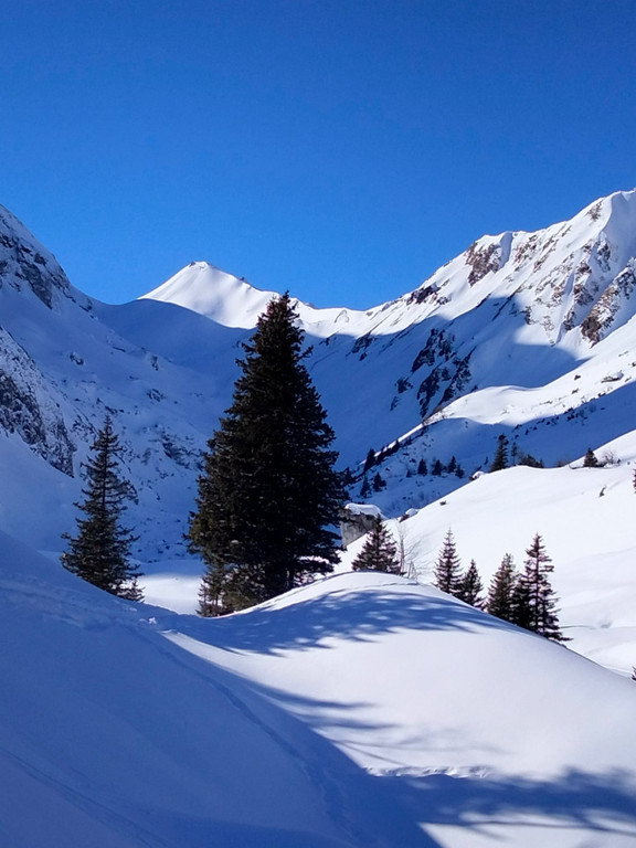 12_ Lindauer Hu__ttel.jpg