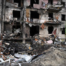 AFP_323W79L.jpg