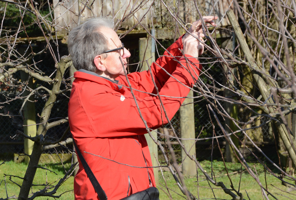 PU1_1529 - Kopie.JPG