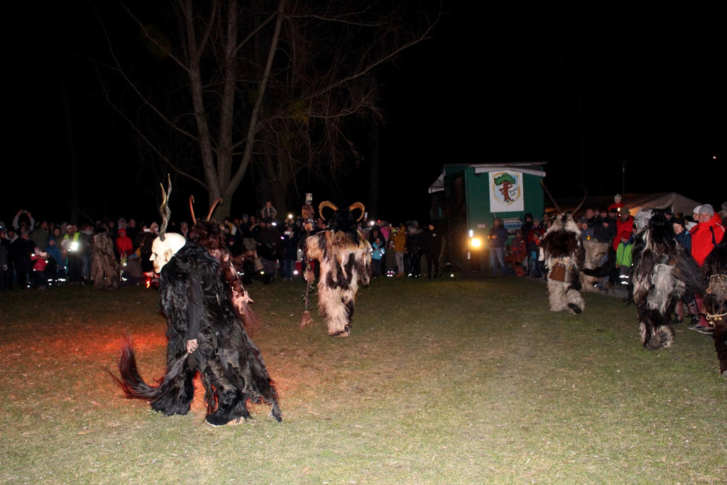 Funken B__UMLE F Bodaseet__fl Auftritt 29-02-2020 _10_.JPG