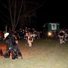 Funken B__UMLE F Bodaseet__fl Auftritt 29-02-2020 _10_.JPG