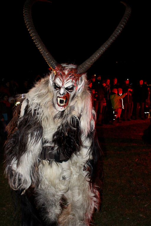 Funken B__UMLE F Bodaseet__fl Auftritt 29-02-2020 _9_.JPG