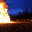 Funken B__UMLE B Funken Abbrennen 29-02-2020 _8_.JPG