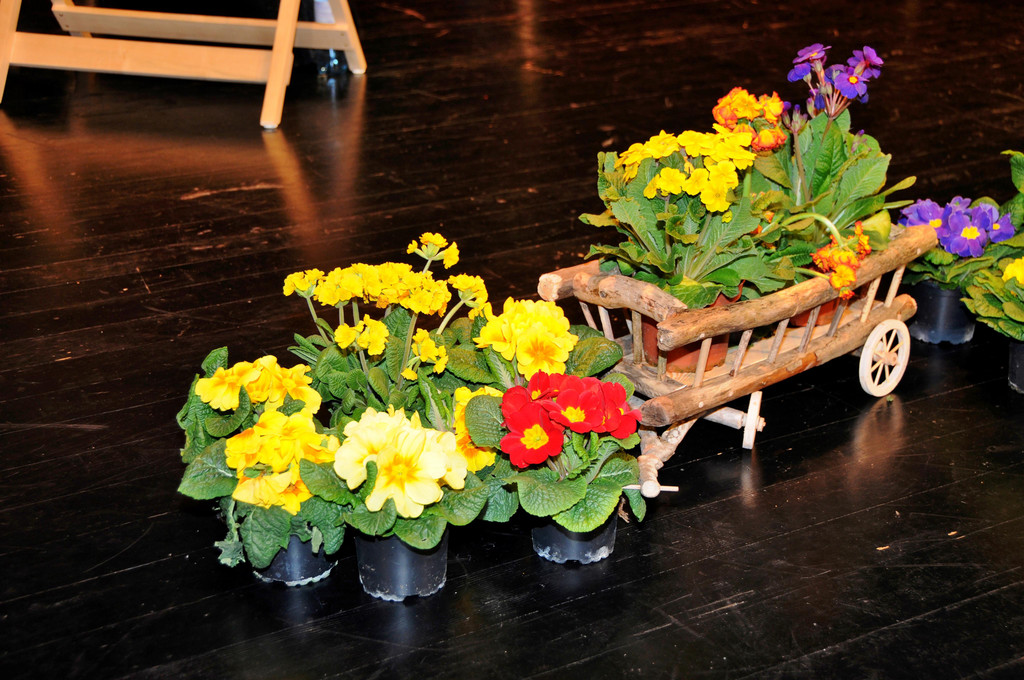 Jubil__umskonzert 2022 __wolfgangefferl 011.jpg