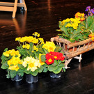 Jubil__umskonzert 2022 __wolfgangefferl 011.jpg