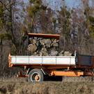 Seeufer _15_.JPG