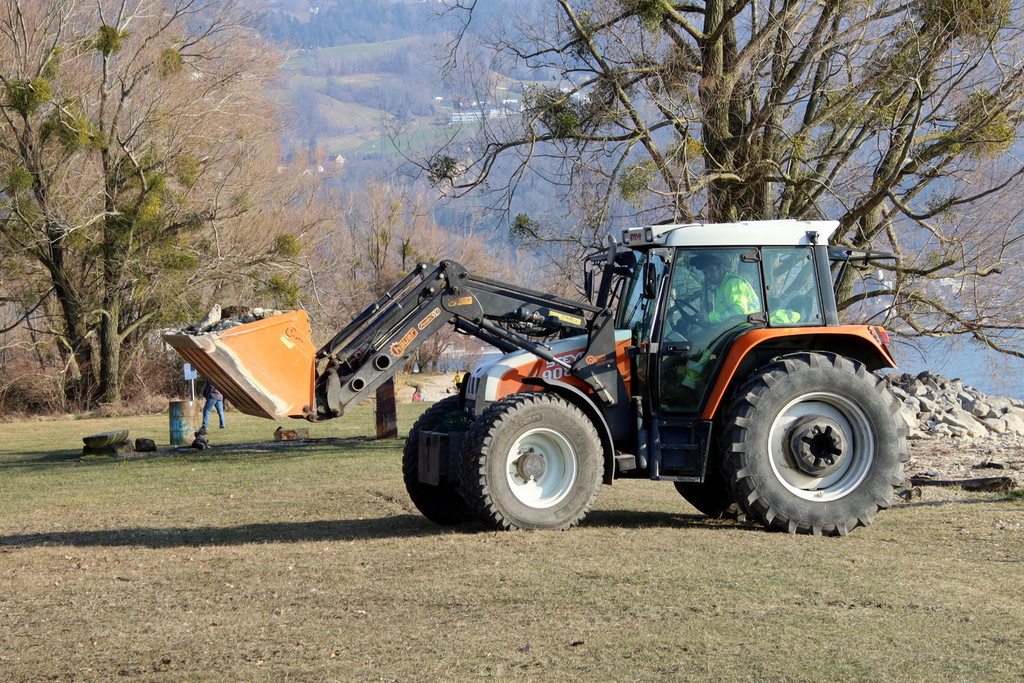 Seeufer _25_.JPG