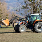 Seeufer _25_.JPG