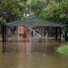 AFP_324N8JF.jpg