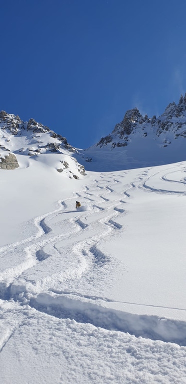 2022_02_26_Silvretta4.jpg