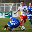file7k3bijujof5v25ojn4h.jpg