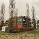 ausweichschule _12_.jpg