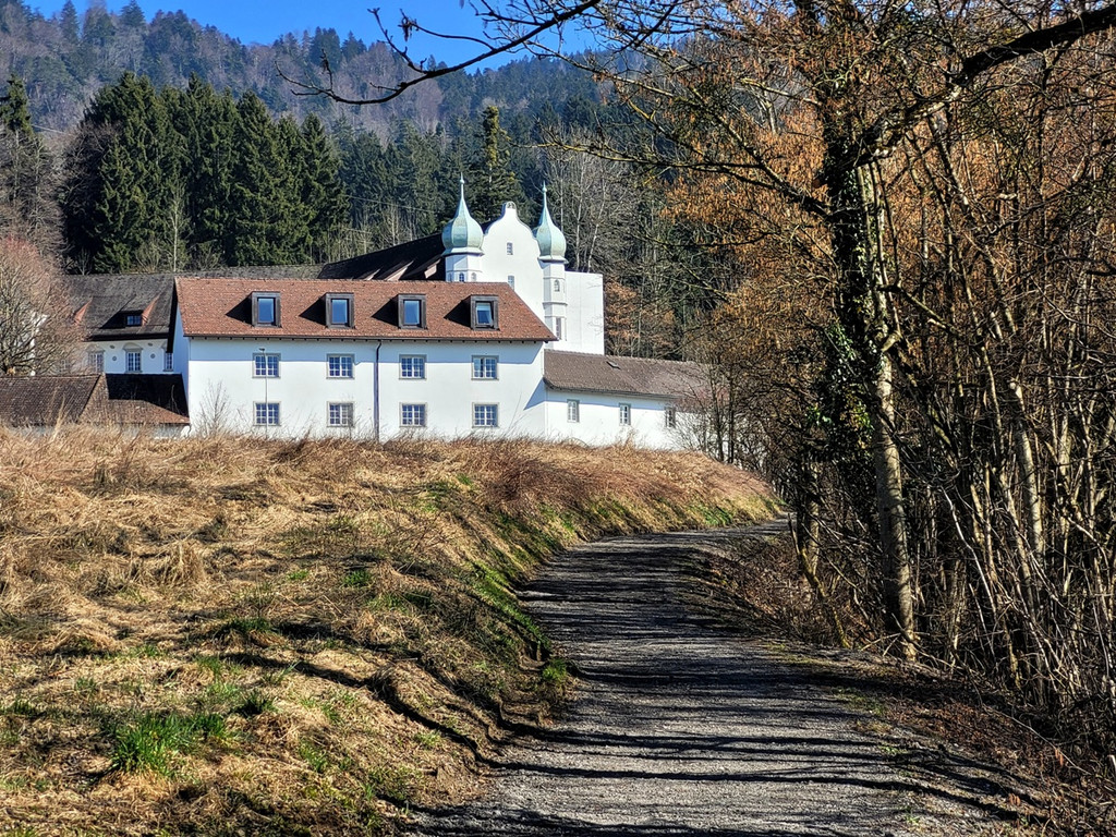 Wege INSTANDSETZUNG 10-03-2022 _13_.jpg