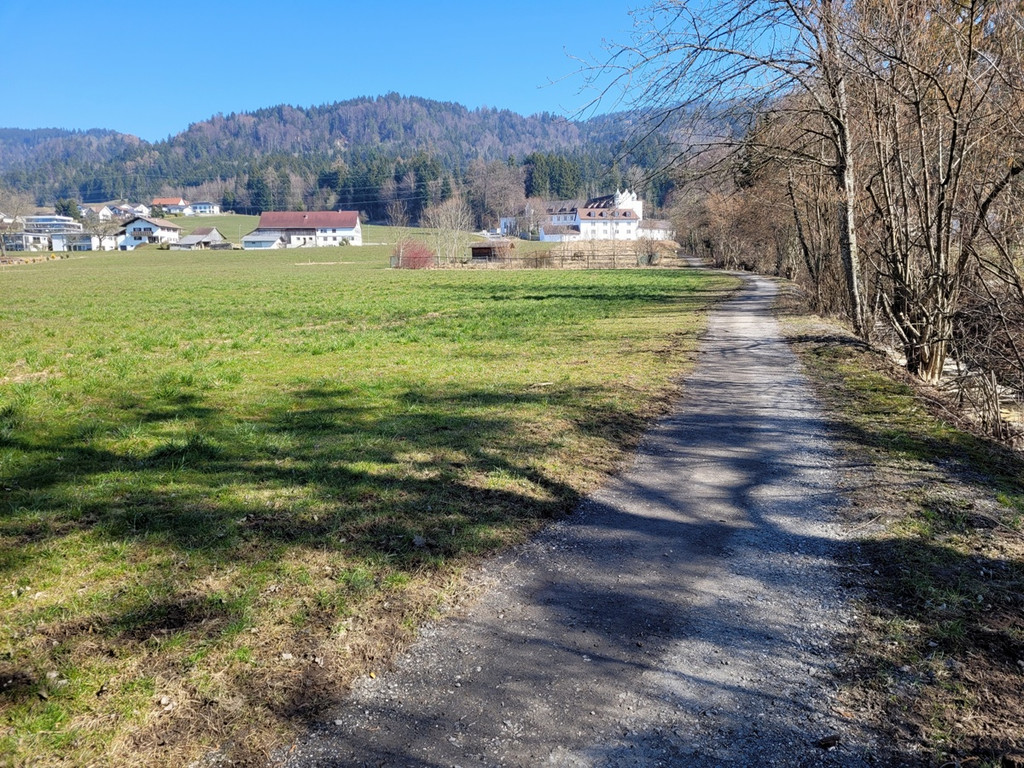 Wege INSTANDSETZUNG 10-03-2022 _11_.jpg