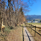 Wege INSTANDSETZUNG 10-03-2022 _8_.jpg