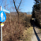 Wege INSTANDSETZUNG 10-03-2022 _7_.jpg