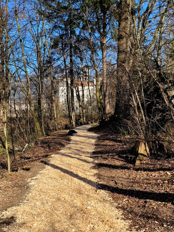 Wege INSTANDSETZUNG 10-03-2022 _23_.jpg