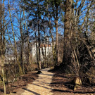 Wege INSTANDSETZUNG 10-03-2022 _23_.jpg